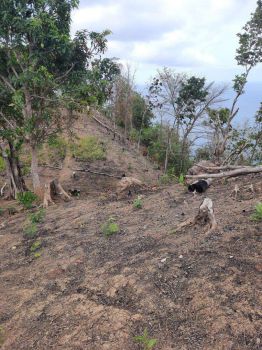 Dijual tanah pelabuhan ratu SHM