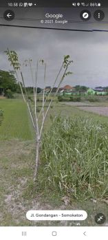 Sell Tanah: Tanah Dijual Murah