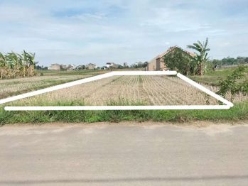 Tanah pinggir jalan aspal