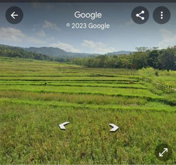 Tanah Dijual dekat Kopi Ampirono