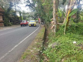 Exciting Leashold land, 37 are Ayung river Front, Ubud Bali
