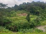 thumbnail-exciting-leashold-land-37-are-ayung-river-front-ubud-bali-10