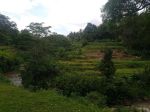 thumbnail-exciting-leashold-land-37-are-ayung-river-front-ubud-bali-1