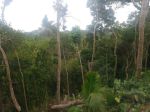 thumbnail-exciting-leashold-land-37-are-ayung-river-front-ubud-bali-2