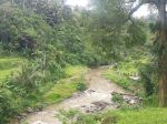 thumbnail-exciting-leashold-land-37-are-ayung-river-front-ubud-bali-8