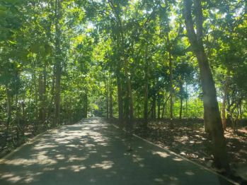 Tanah Pantai Balangan Jimbaran