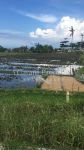 thumbnail-beach-front-land-at-saba-gianyar-1