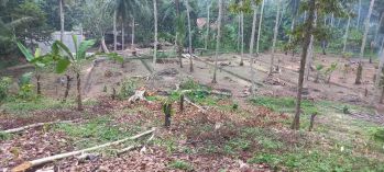 Sell Tanah: Tanah Pribadi Murag