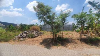 Tanah Premium Di Mulawarman 5 Menit Undip Tembalang