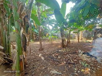Tanah Kavling Lokasi Bagus Ciracas Jakarta Timur