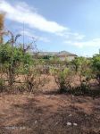 thumbnail-pink-zone-land-for-leasehold-in-pandawa-beach-bali-2