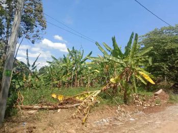Tanah Kos Banaran samping Kampus UNNES
