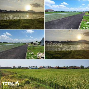 Sell Tanah Kavling: Tanah kavling Bali