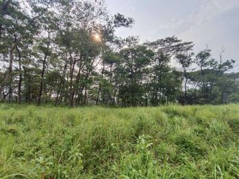 Kavling Free Addendum View Jalan Raya Utama Sentul Sentul City,Bogor