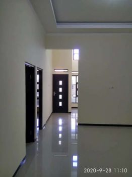 Dikontrakkan Rumah Huni, Tanpa Perantara