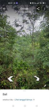 tanah kebun 97 are yeh embang kauh