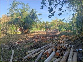 Jl Wates Km 16 Jogja, Tanah Murah Kulonprogo