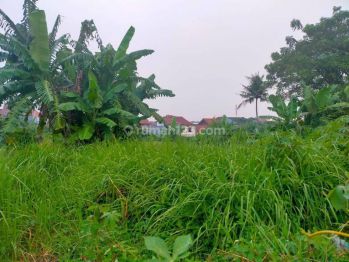 Tanah Beji Dekat Sd Islam Padu Al Muqqorobin Termin 2 Tahun