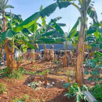 Tanah Murah Depok Bebas Banjir, Dekat Vila Gading Mas Rangkapan Jaya Baru, Di 20