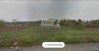 Lahan di Nol Jalan Dawar Blandong Peruntukan Bisa Buat Industry