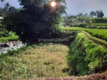 Tanah Murah Cipanas Harga 850 Ribu Saja