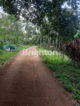 LAHAN COCOK U PERTANIAN ATAU PETERNAKAN DI CARIU