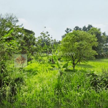 Tanah Termurah Depok, Terdekat Galih Garden Pengasinan, Pasti Untung 20 Sd 25