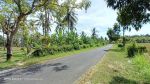 thumbnail-tanah-kebun-kelapa-10-ha-pinggir-jalan-desa-kaliakah-jembrana-2