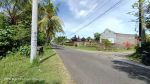 thumbnail-tanah-kebun-kelapa-10-ha-pinggir-jalan-desa-kaliakah-jembrana-5