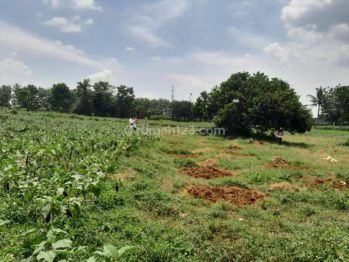 Tanah Strategis Jl Ciseeng Raya Bogor