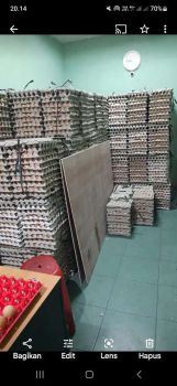 Dijual Rumah dan Usaha Suplier Telor