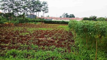 tanah dibawah NJOP pinggir jalan di Bedahan akses Tol Sawangan