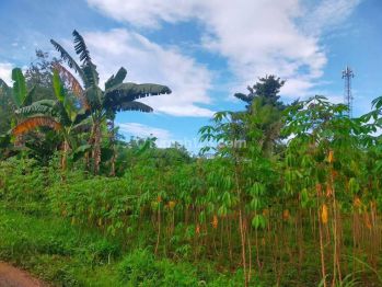 Tanah Siap Bangun Tajur Halang, 5 Menit Sma N 1 Tajur Halang, Pasti Untung 20 Sd