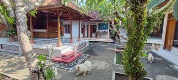 Dijual Tanah bonus bangunan etnik bali di Batubulan view sawah