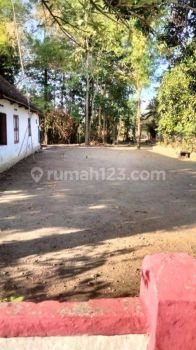 TANAH PACET JALAN POCEKIK DLANGGU MOJOKERTO ARAH PACET 9X27METER