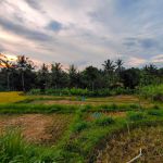 thumbnail-dijual-tanah-di-bukian-view-sawah-gunung-sunset-dan-telabah-12