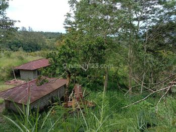 Hot List Di Jual Tanah View Gunung Lokasi Batur Kintamani Bangli