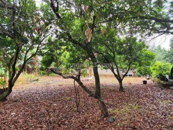 Tanah Strategis Dekat Mall Cinere, Siap Balik Nama