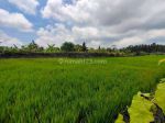 thumbnail-dijual-tanah-dan-bangunan-di-pejeng-kelod-view-sawah-8