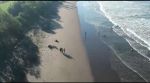 thumbnail-tanah-premium-153-hektar-los-pantai-yeh-embang-jembrana-bali-5