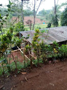 Tanah murah bangat SHM Masuk mobil di Rumpin Bogor Jabar