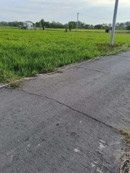 Tanah Murah Rejomulyo Kota Madiun