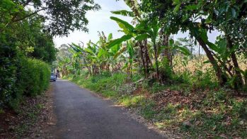 Tanah Murah di Blk Terminal Gunungpati Kec Gunungpati Semarang