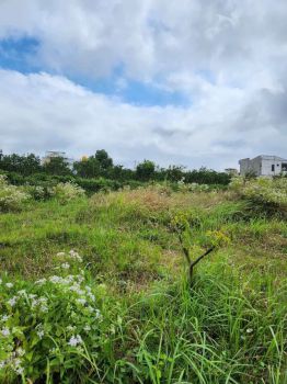 Tanah Kapling Bagus di Dau Malang