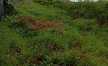 Sell Tanah: Tanah Dijual Cepat