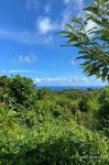 thumbnail-ocean-view-land-for-sale-leasehold-in-bali-uluwatu-rf2916b-1