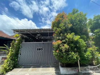 For Rent Local House 4 Bedrooms At Jimbaran Area Semin Furnished