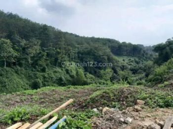 Tanah Murah 6000 M2 SHM Pinggir Jalan Cikalong Wetan
