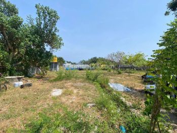 Tanah cocok dikembangkan di daerah Sawan, Buleleng