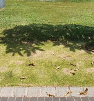 Tanah Jemursari Selatan Lebar Jalan 3 Mobil Strategis Siap Bangun